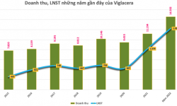 Doanh thu những năm gần đây của Viglacera