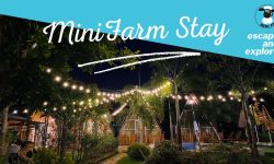 Khu nghỉ dưỡng mini tại Bà Rịa