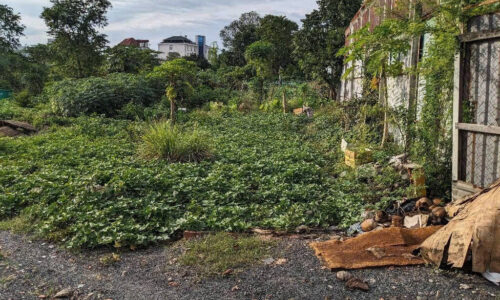 Bán đất Trần Thị Vững Dĩ An – 309m² chỉ 8 tỷ