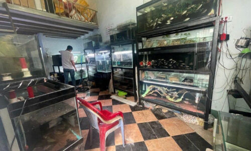 BÁN NHÀ TRỌ LINH TRUNG 80m2 giá 5.2TY