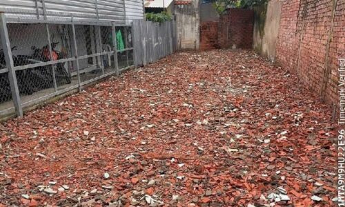 BÁN ĐẤT THẢO ĐIỀN – QUẬN 2