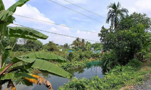 Bán đất Long Phước Quận 9 – 1.245m² (34×36m), đường 6m, giá 12 tỷ